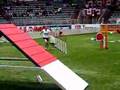 Silvia Trkman - agility teams run at WC2007