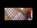  Friends Part 2.mov