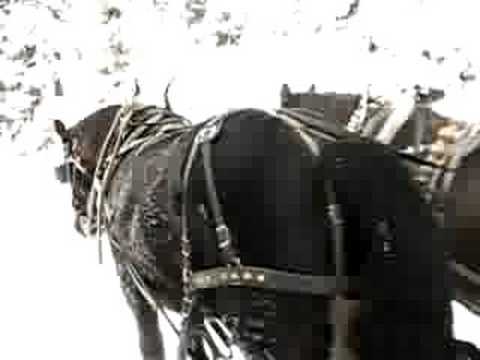 YouTube Трейлер