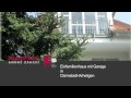 Video ansehen