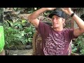GREATEST WIPEOUTS: MARK HEALEY AT TEAHUPOO