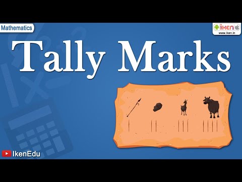 how to learn tally
