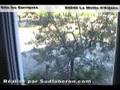 Gite Luberon les garrigues