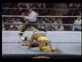 Hulk-Hogan-Survivor-