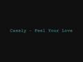 Casely - Feel Your Love