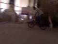 videos de BIKERS