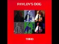 Pavlov's dog - trafalger