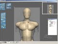 anatomy sculpting using freeform