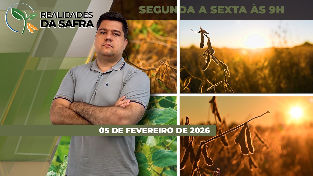 Chuvas impedem colheita e afetam soja do Tocantins, enquanto a seca trouxe perdas em...