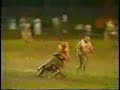 choctaw stickball the game