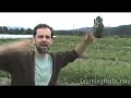 Stinging Nettle: Edible plants as your herbal vitamin Stinging Nettle: Edible plants as your herbal vitamin