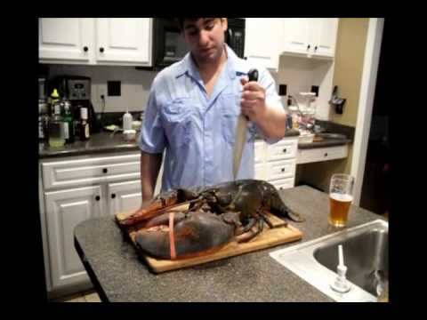 how to properly kill a lobster