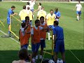 Dutch-summer picture show Dutch-summer picture show
