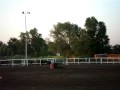 Candy Rodewald
