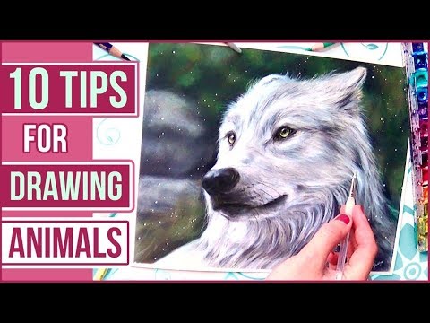 video-linktoworks-TOP 10 Tips for Drawing Animals