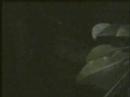 abduccion marciana