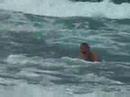 the surfdude the surfdude