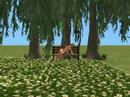 Sims Primavera Verão Sims Primavera Verão