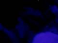 videos de Ricardo Villalobos @ Fabric (London) - 15.11.08 - Part 4