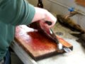 How to properly fillet a walleye - YouTube