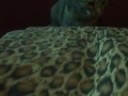 My Montage 8/22/08