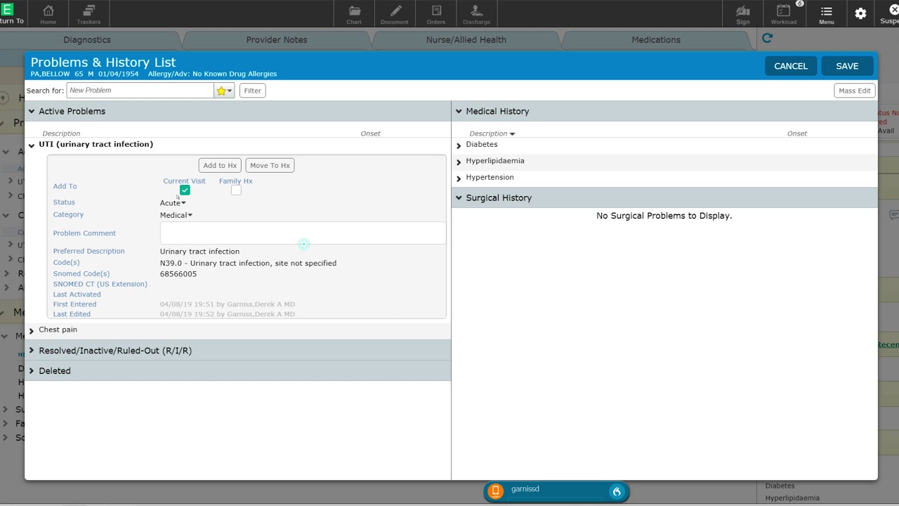 Meditech Expanse - Problem List Demonstration