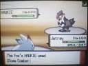 Pokemon Wi-Fi Battle Vs Robert 25 Nov 2008