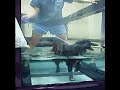 Johann's Hydrotherapy Session
