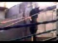 videos de Los Michos