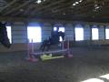 videos de Chance jumps his heart out at a lesson with Jim Wofford.