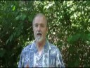 Using Outsourcing in Internet Marketing Using Outsourcing in Internet Marketing