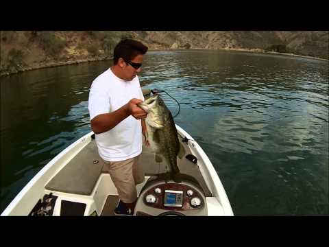 how to obtain tsa certification