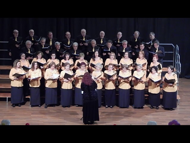 Va Pensiero, Nabuco (G. Verdi)