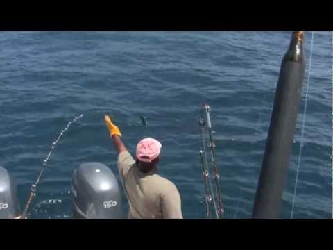 BIG GAME FISHING - http://www.captalex.no Tropical Fishing Captain Alexander and the crew onboard Peter Pan having fun along the beautiful coast of Kenya. Join us when we catch...