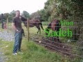 Ireland-Aug-2008