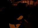noites eloquentes com amigos inconsequentes ^^