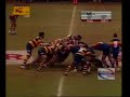 bradby 2008-lions unleashed bradby 2008-lions unleashed