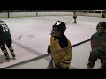 2008/2009 BLOMHA Bruins