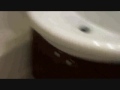 Great Flex 2 .wmv
