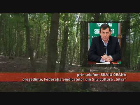 Amenințați de hoții de lemne și de braconieri, silvicultorii cer protecție