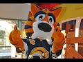 nhl mascots and ice girls