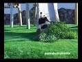 Twin PANDA Cub, eating Apple