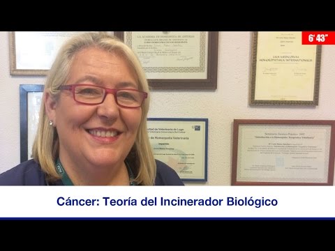 Imagen de previsualización de YouTube