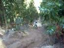 14 YZ 250 14 YZ 250