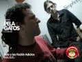 videos de Rolo y los Fackin Adictos - Reggae en PelaGatos