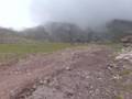 Yo pasarelas alto campoo