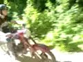 soft enduro czarna bialostocka-dworzysk part 1