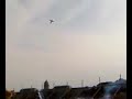 Besenyei P�ter - Red Bull Air Race Budapest 2007 (Qualif.)