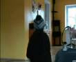 NEVILLE ... Neville Harry Potter Quidditch Baby 