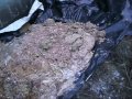 Biochar As a Compost Amendment - Cold Weather